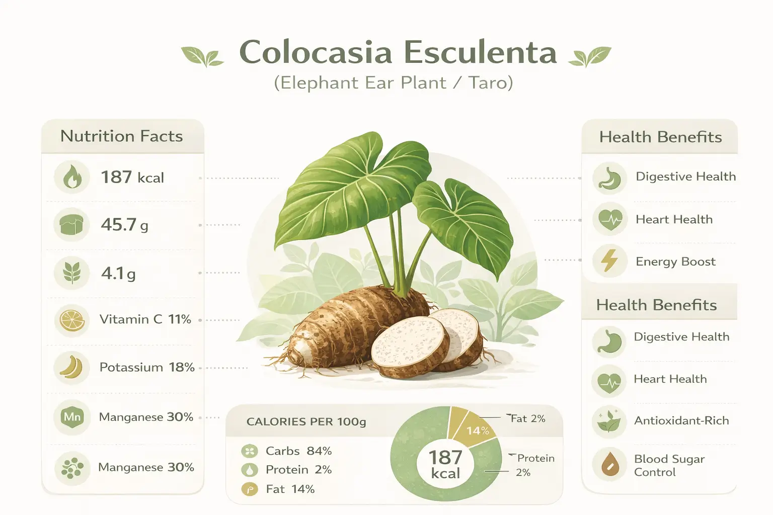 elephant ear plant indoor benefits