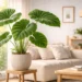 elephant ear plant indoor benefits