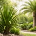 grass palm