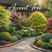 Accent tree in a landscaped garden corner highlighting outdoor decorative trees and small ornamental plants.