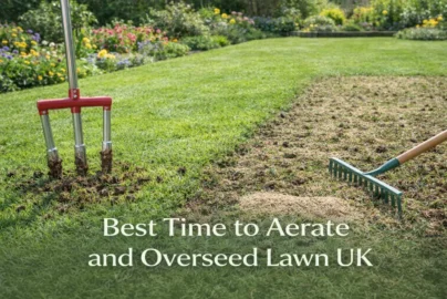 Best Time to Aerate and Overseed Lawn UK – aerating and overseeding a healthy UK lawn in spring with tools