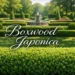 Boxwood Japonica hedge in a formal garden, showcasing dense evergreen foliage, perfect for landscaping and hedges.