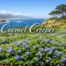 carmel creeper