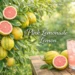 Pink lemonade lemon tree with ripe pink lemons and fresh pink lemonade drink