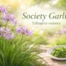society garlic