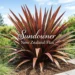 Sundowner New Zealand Flax in a modern garden showing vibrant red and bronze foliage and tall sword-shaped leaves