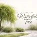 acacia waterfall tree