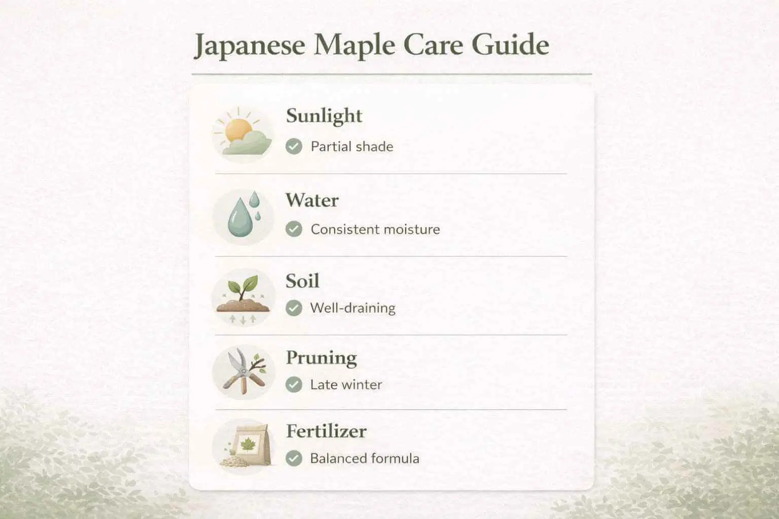 are japanese maples evergreen