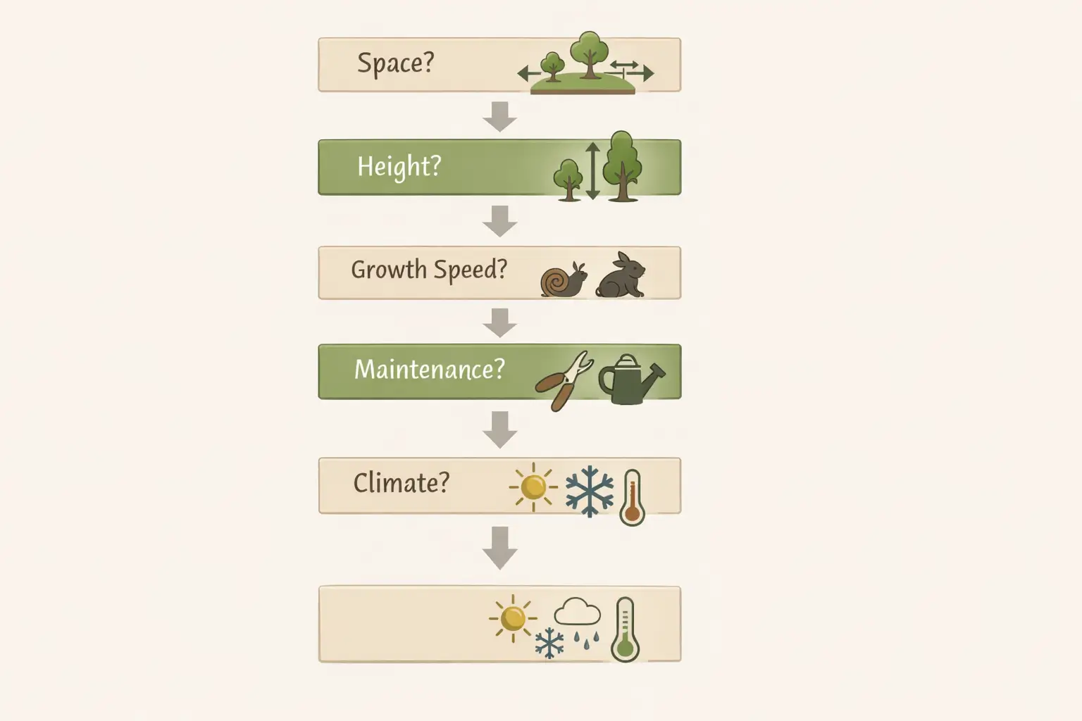 australian native screening trees