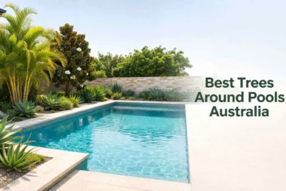 best trees around pools australia