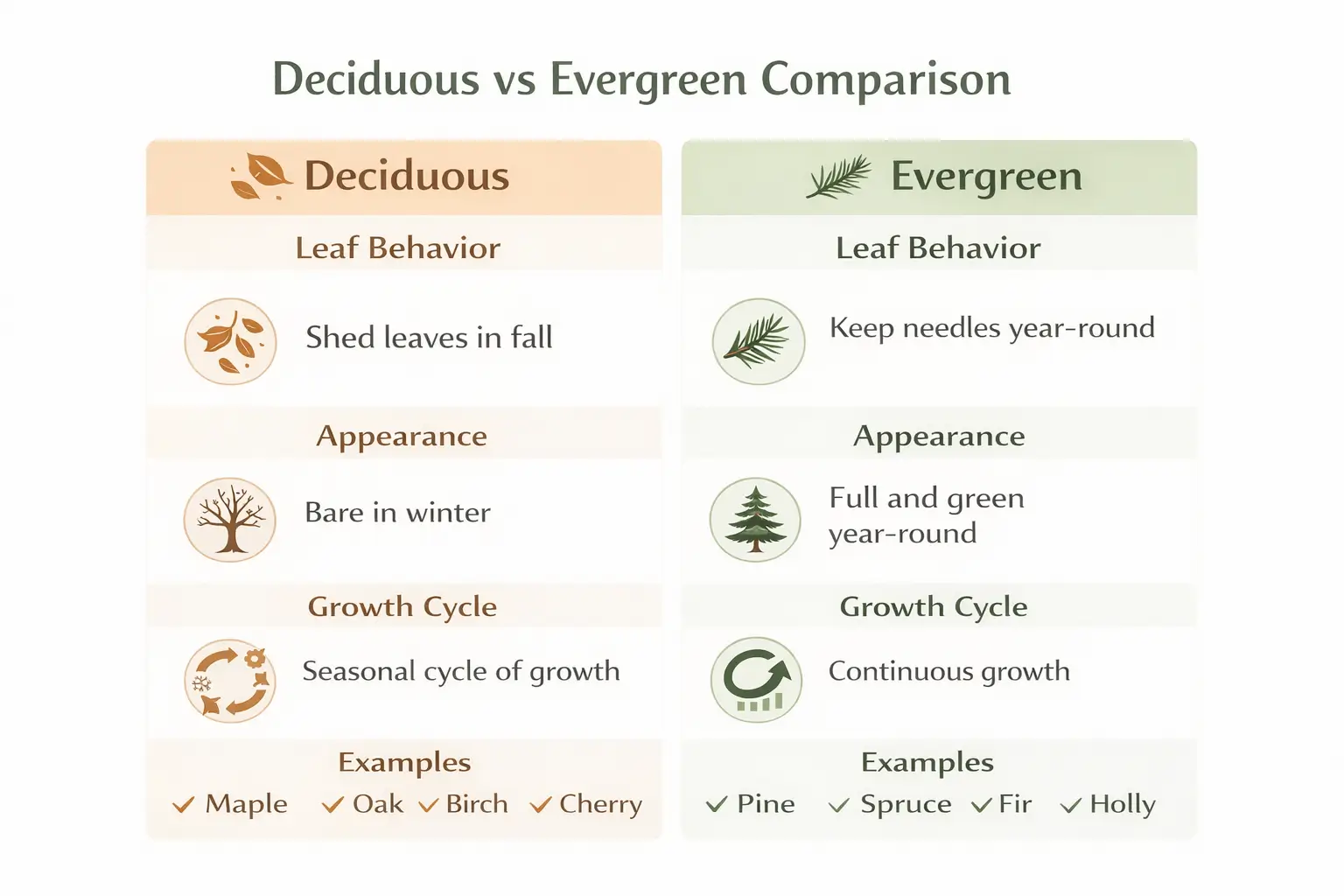 deciduous vs evergreen