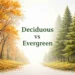 deciduous vs evergreen