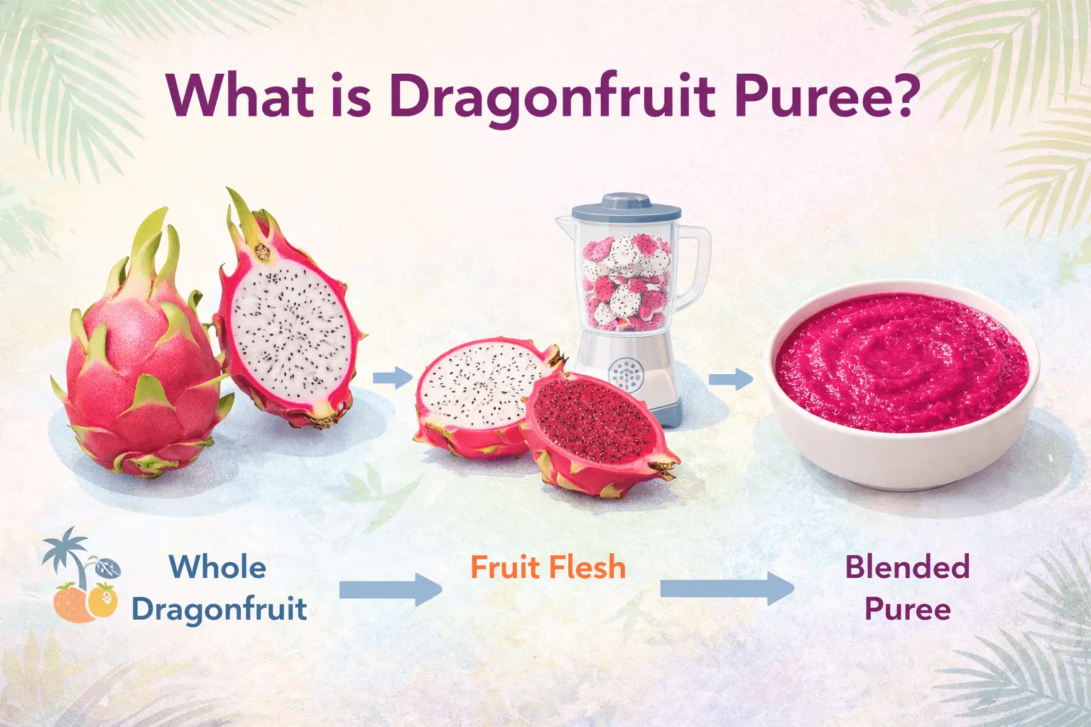 infographic explaining what dragonfruit puree is and how dragon fruit becomes blended puree