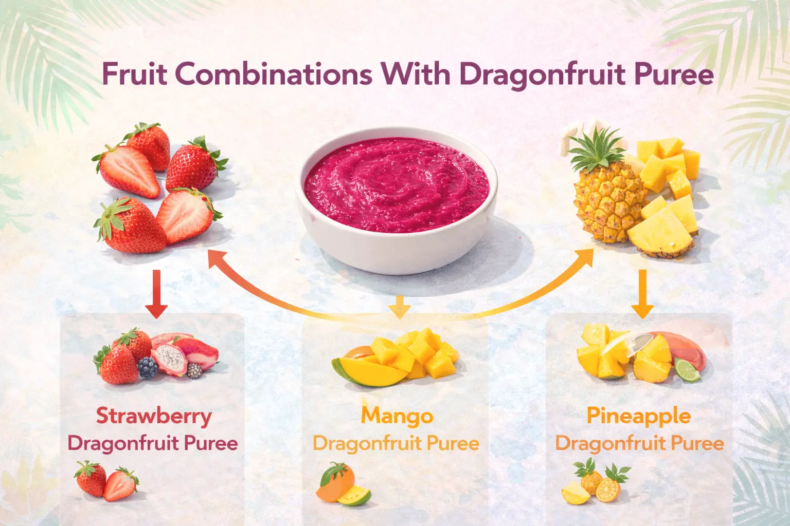 infographic showing fruit combinations like strawberry mango and pineapple with dragonfruit puree