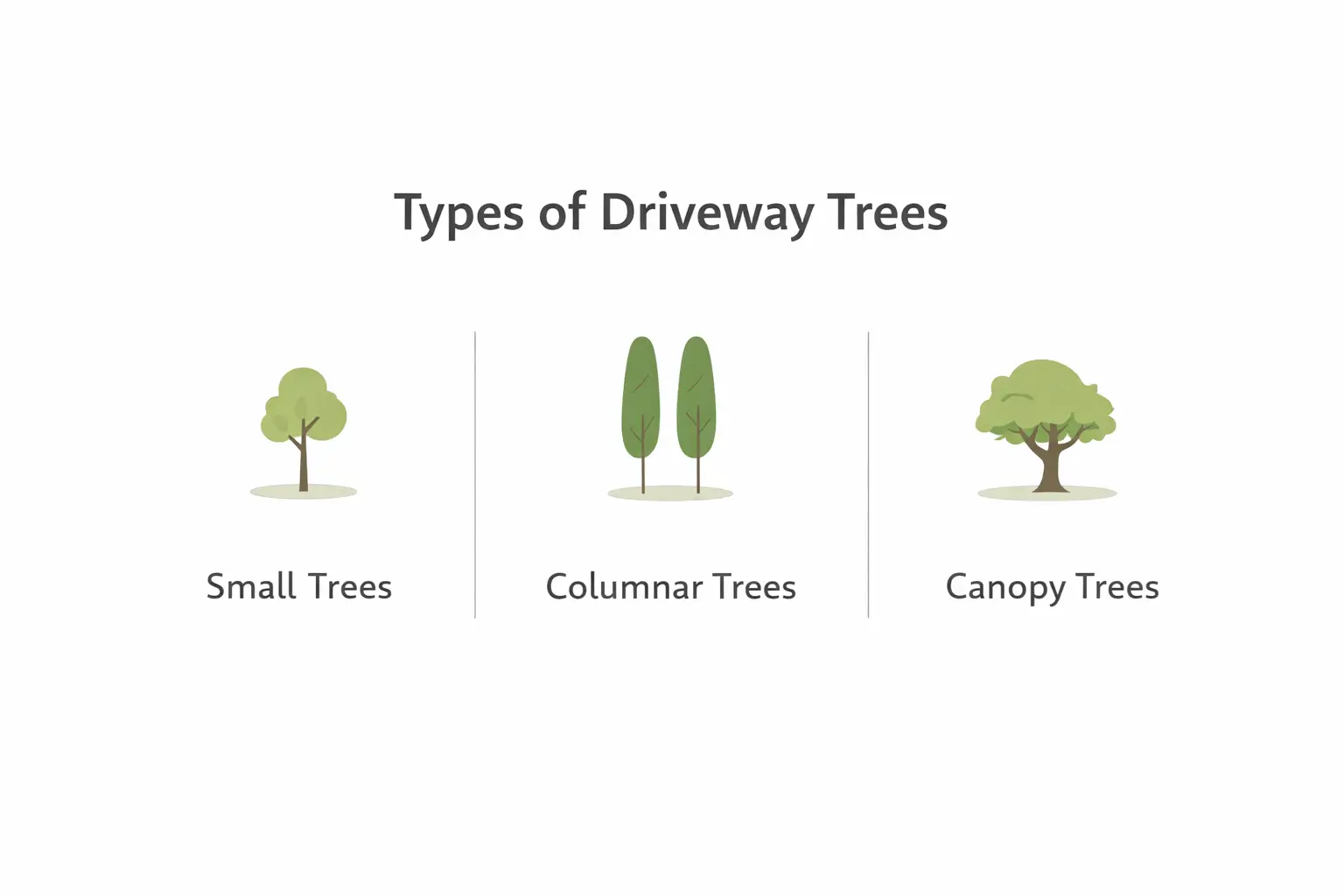 driveway trees ideas