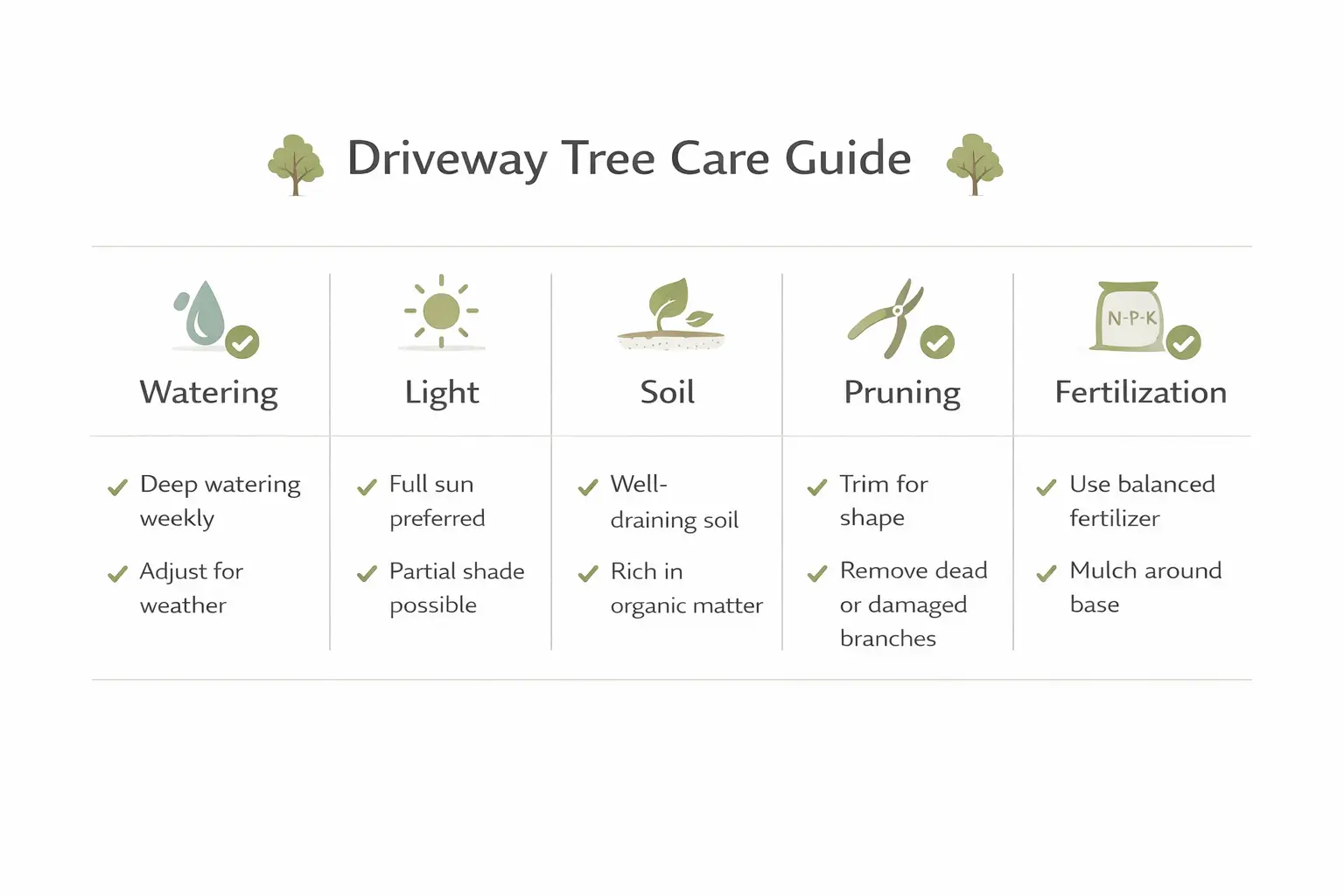driveway trees ideas