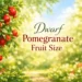 dwarf pomegranate fruit size