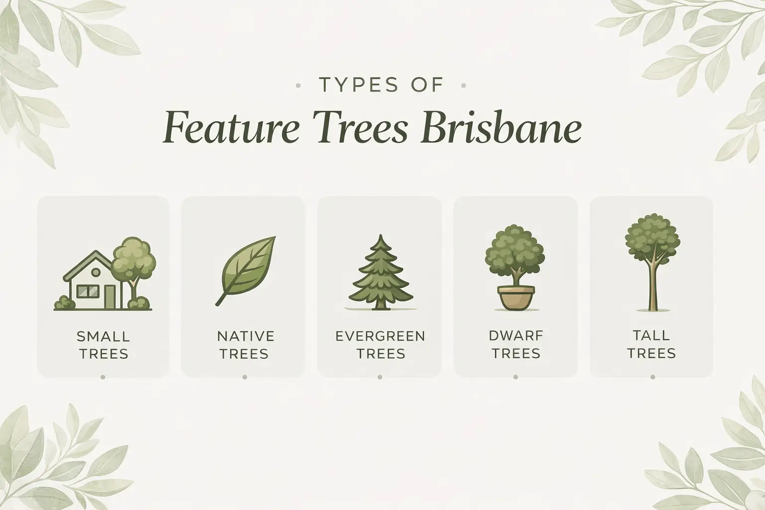 feature trees brisbane