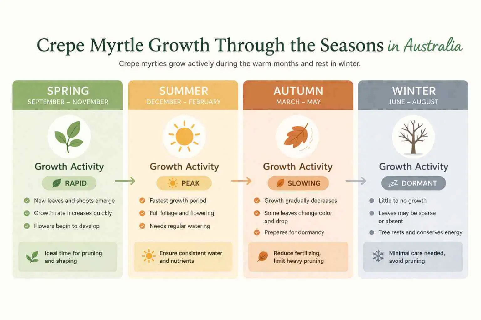 how fast do crepe myrtles grow in australia