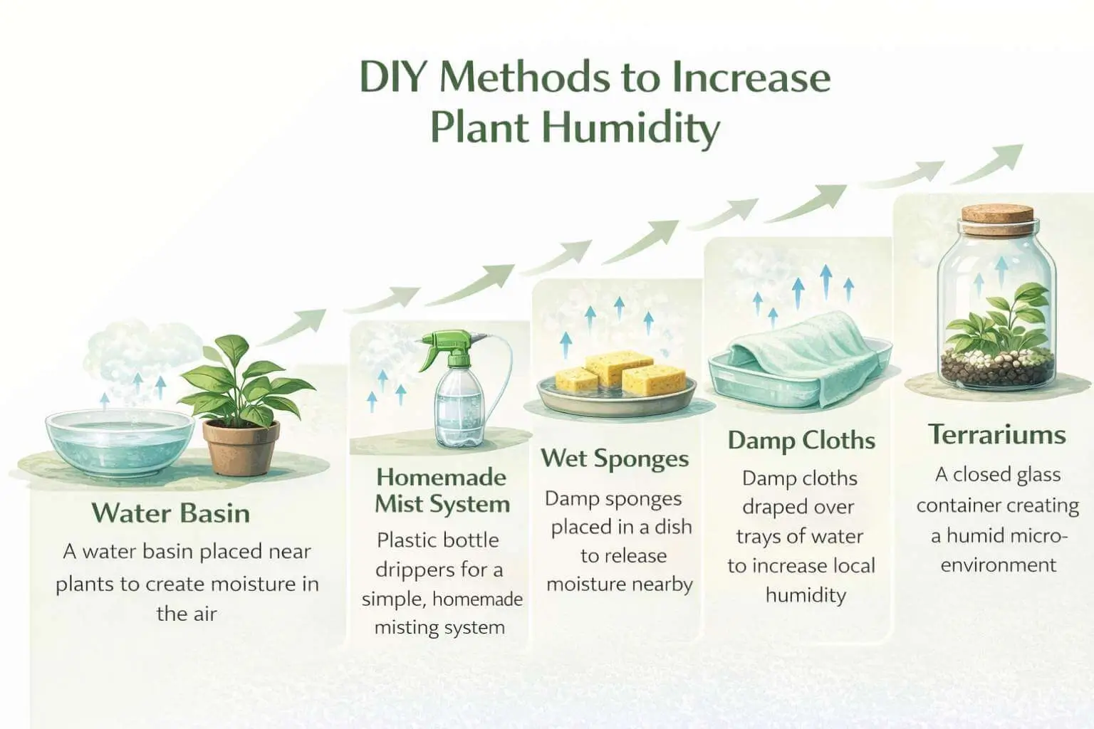 Infographic illustrating DIY and cost-effective ways to increase humidity for plants indoors.