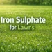 Iron sulphate for lawns enhancing green grass and moss control for healthy turf