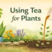 is tea good for plants