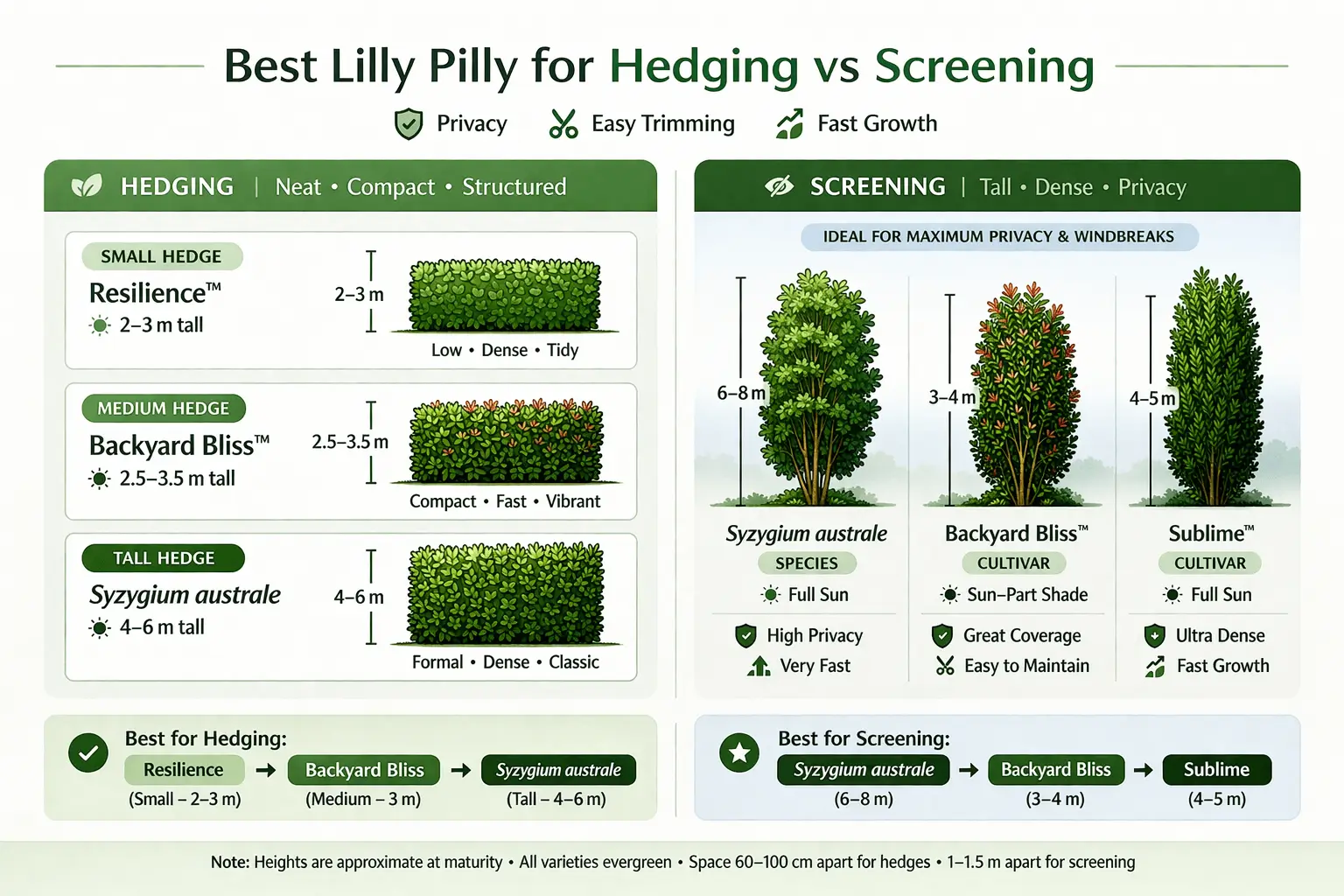 lilly pilly varieties