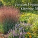 Panicum virgatum ‘Cheyenne Sky’ ornamental switchgrass in a garden with text overlay.