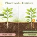plant food vs fertilizer comparison showing photosynthesis and soil nutrients