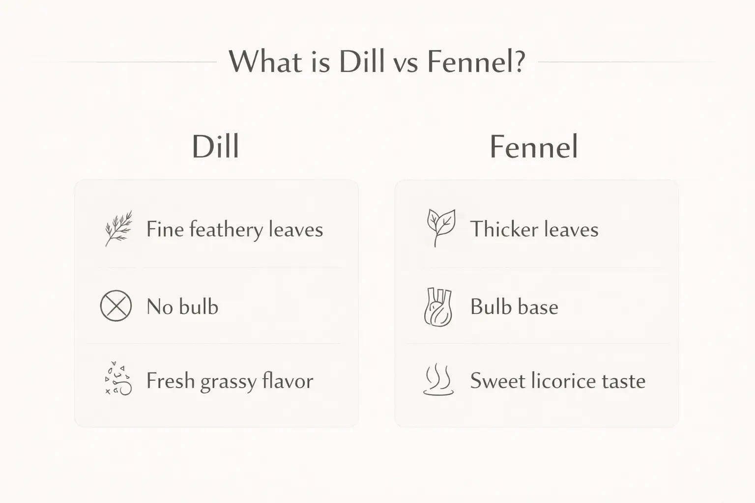 What is dill vs fennel infographic showing definition and key differences including leaves, bulb, and flavor