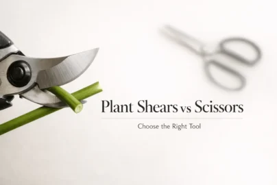 Plant shears vs scissors banner showing clean pruning cut and tool comparison for gardening