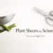Plant shears vs scissors banner showing clean pruning cut and tool comparison for gardening