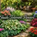 Shade tolerant flowers thriving in shaded garden with colorful blooms