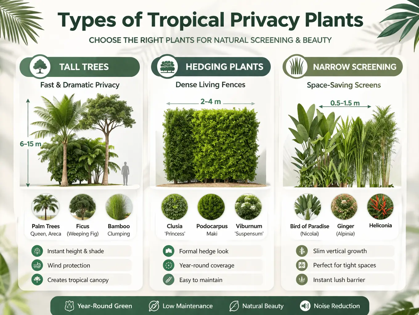 tropical privacy plants