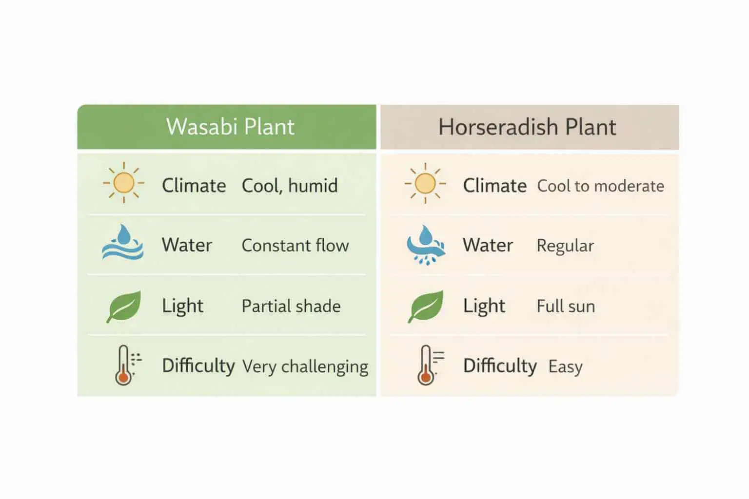 wasabi plant vs horseradish