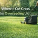 When to Cut Grass After Overseeding UK – illustrating proper timing for mowing newly overseeded lawns in the UK.