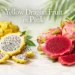 yellow dragon fruit vs pink dragon fruit comparison showing sliced fruits and color differences