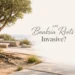 are banksia roots invasive