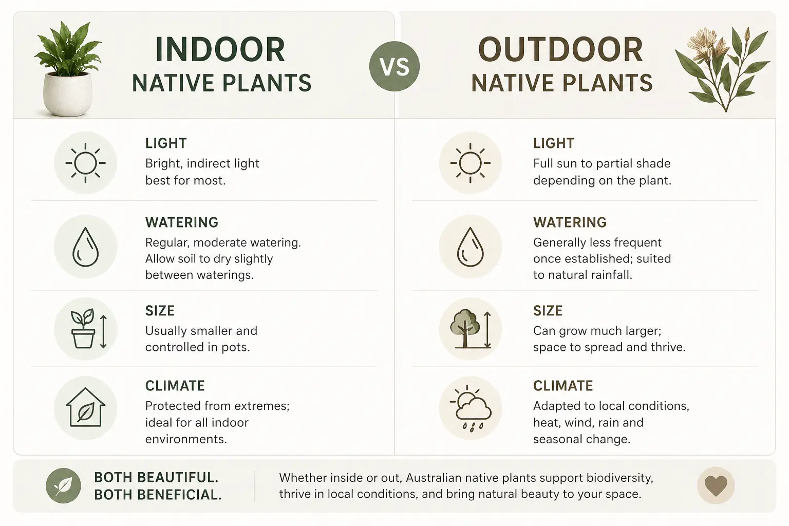 australian native indoor plants
