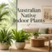 australian native indoor plants