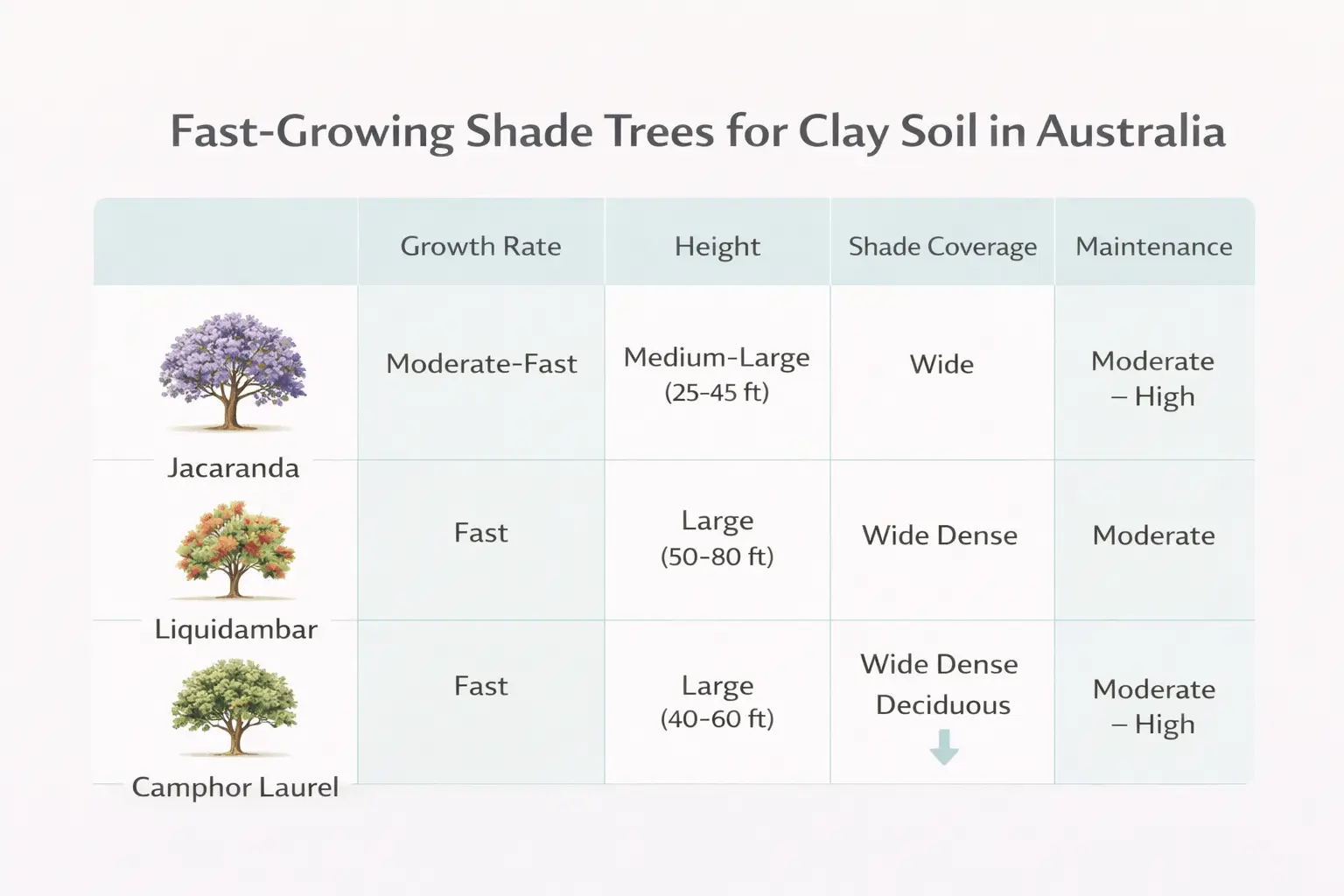 best trees for clay soil australia