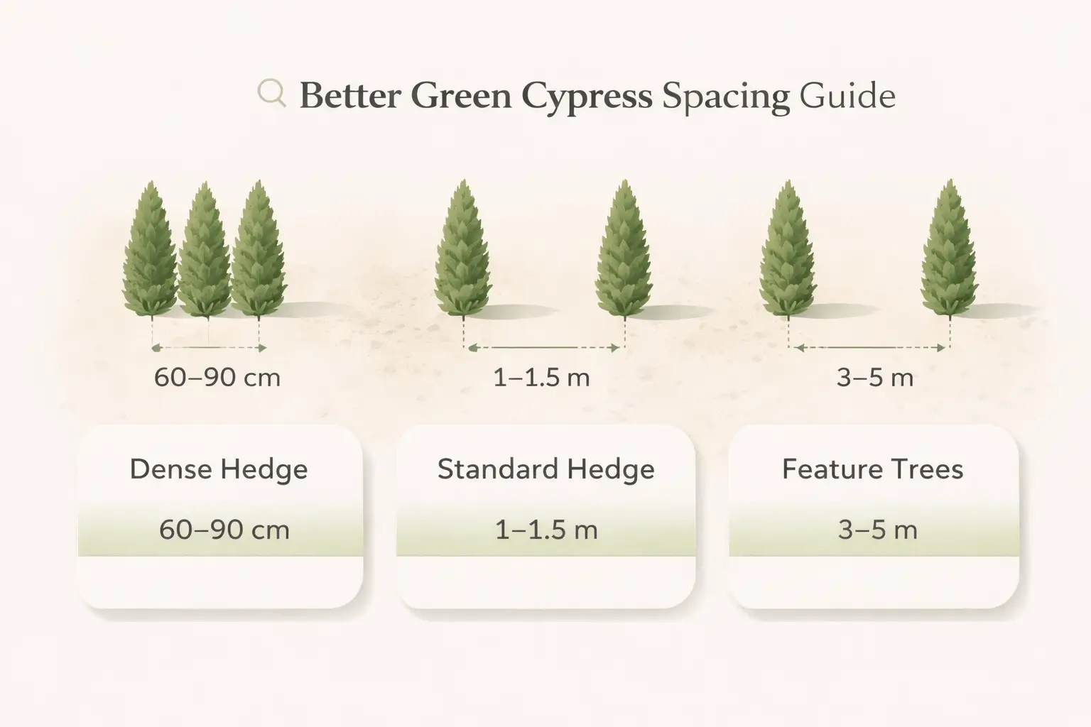 better green cypress