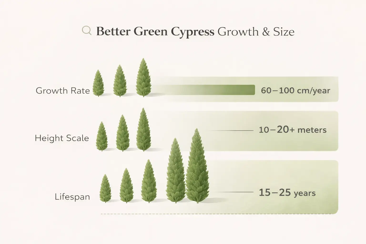 better green cypress
