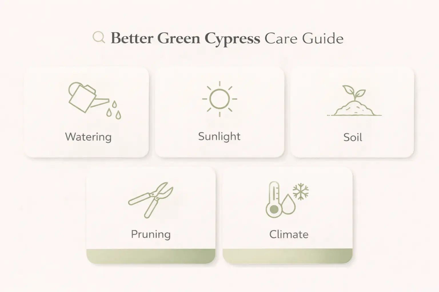 better green cypress
