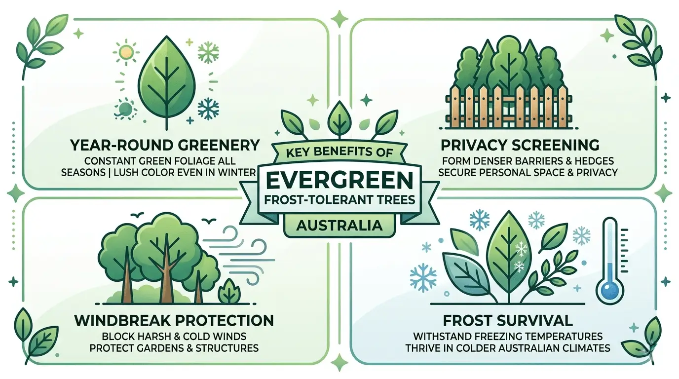 frost tolerant trees australia