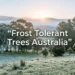 frost tolerant trees australia