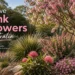 native pink flowers australia