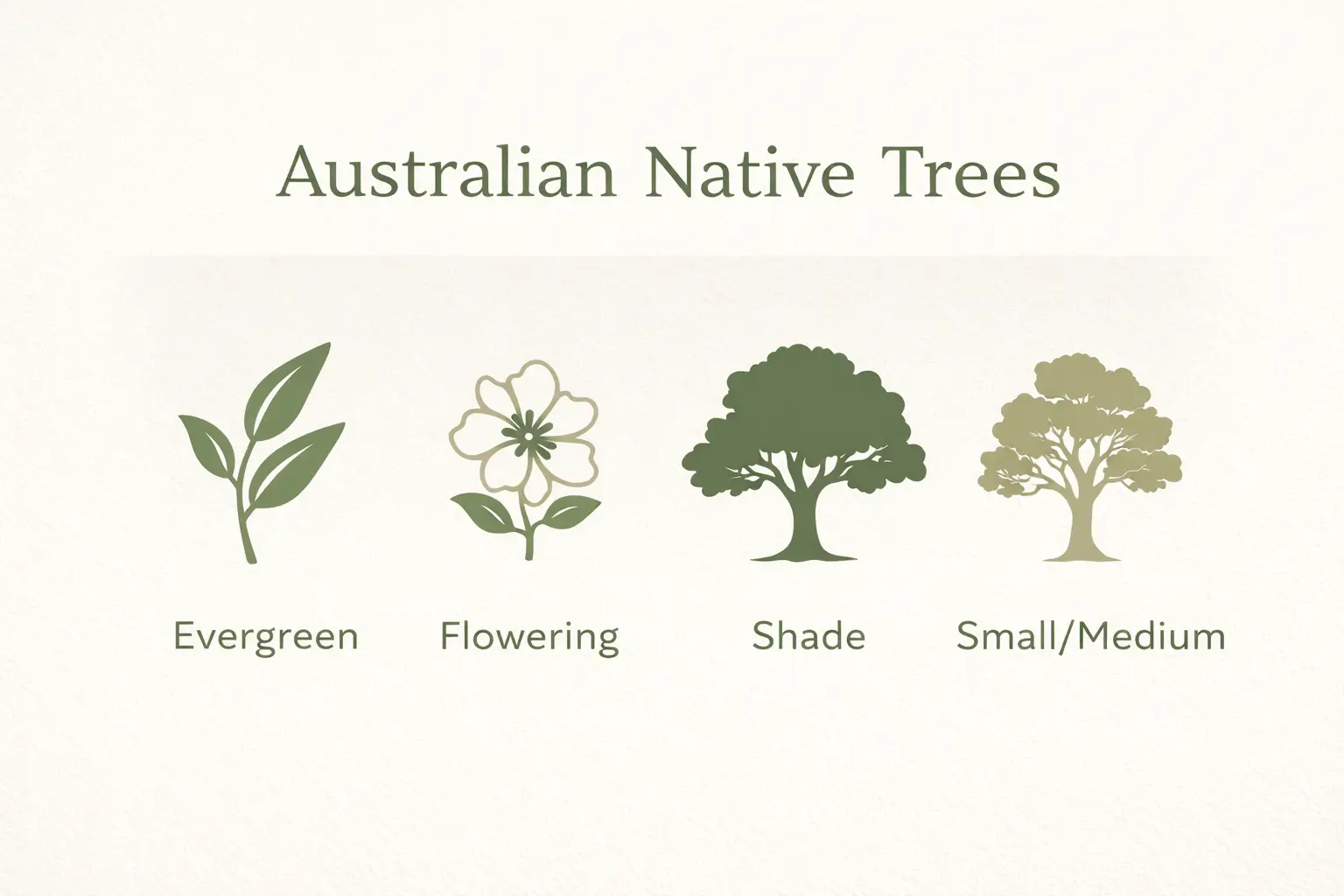 native trees of australia