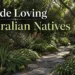 shade loving australian natives