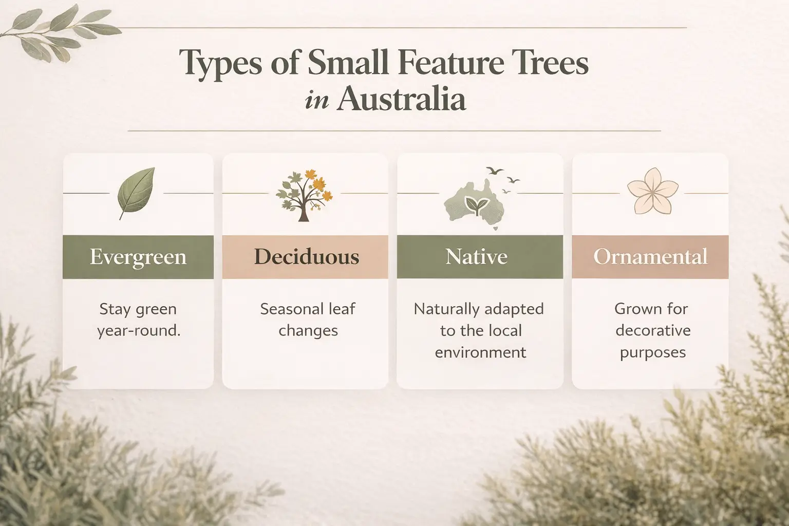 small feature trees australia